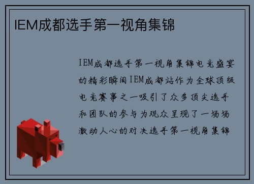 IEM成都选手第一视角集锦