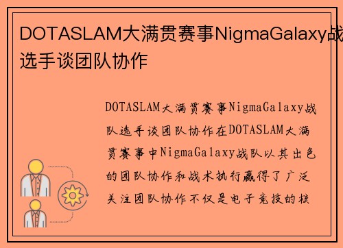 DOTASLAM大满贯赛事NigmaGalaxy战队选手谈团队协作