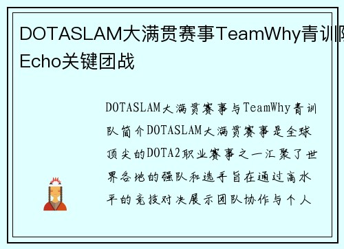 DOTASLAM大满贯赛事TeamWhy青训队员Echo关键团战